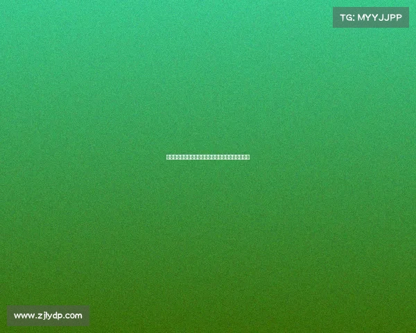 网球赛事策划与组织:高效运营与卓越表现的关键因素